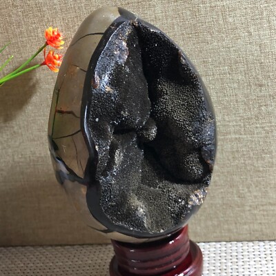 Natural turtle stone polishing crystal unique pebble  from Madagascar 1991g d34