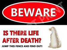Beware of Afghan Hound V2 Life After Death Dog Wall Sign or Wall Decal 9"x12"