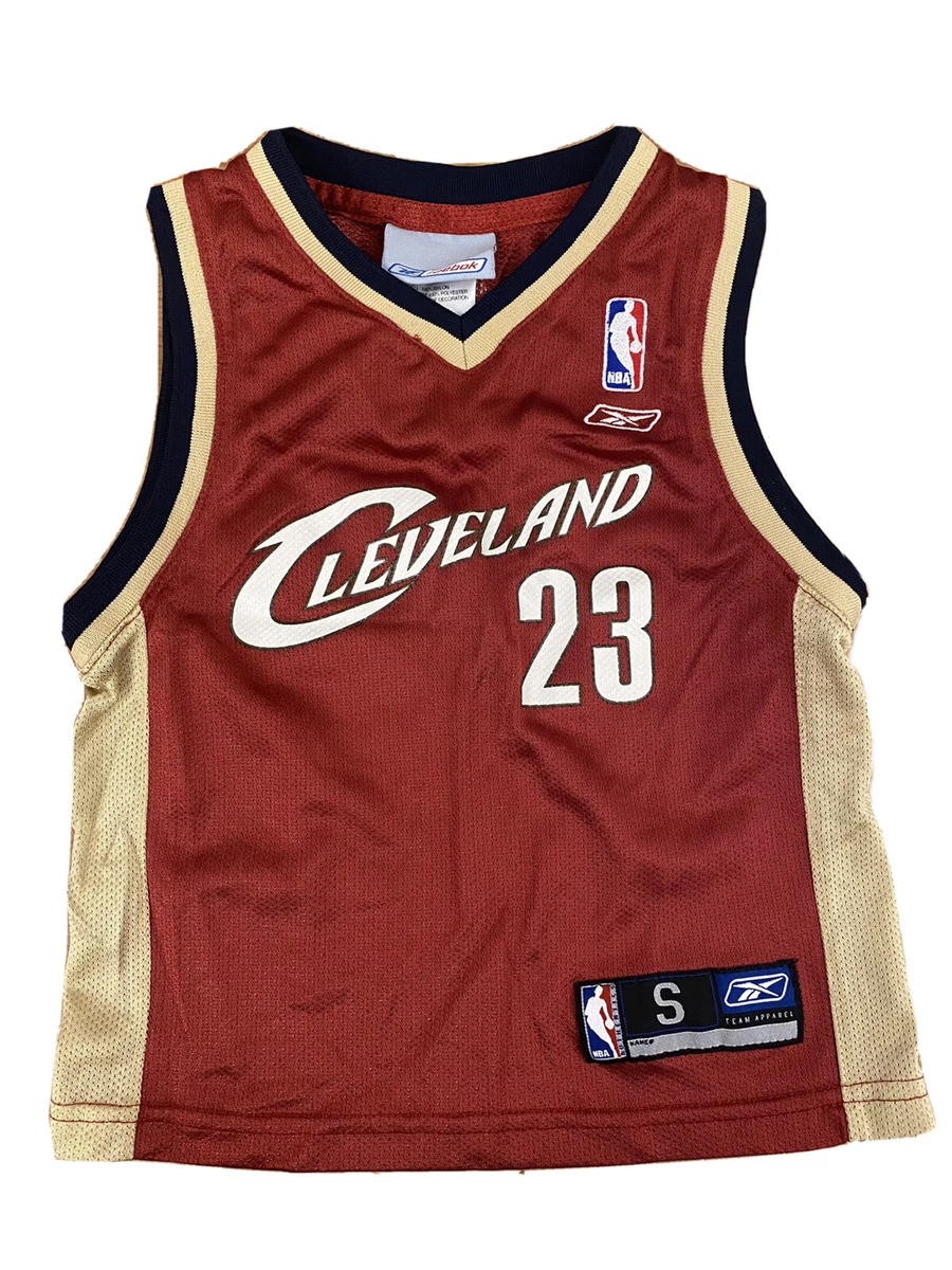  Lebron James Cleveland Cavaliers #23 Youth 8-20 Gray City  Edition Swingman Jersey (18-20) : Sports & Outdoors