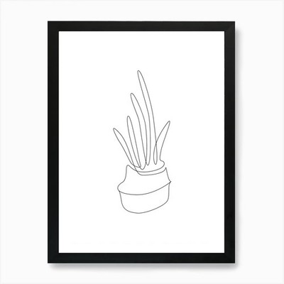 Drawing Of A Plant Art Print Framed Wall Art Poster Canvas Print Picture