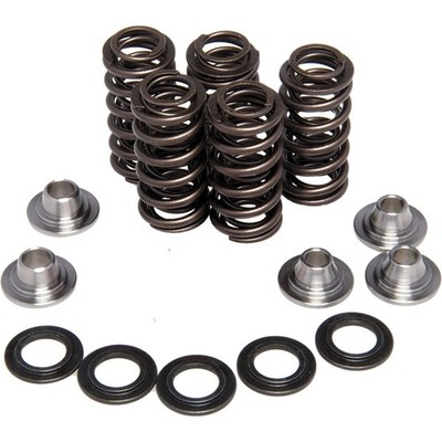 KPMI Racing Valve Spring Kit 30-30920