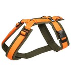 Bild 44 von 70