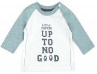 Raglanshirt Aus Bio Bw Jersey In Grey / Mint & Weiß Mit Spruch Print Von Feetje