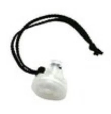 BW Technologies M5-AF-K2 Auxiliary pump filter