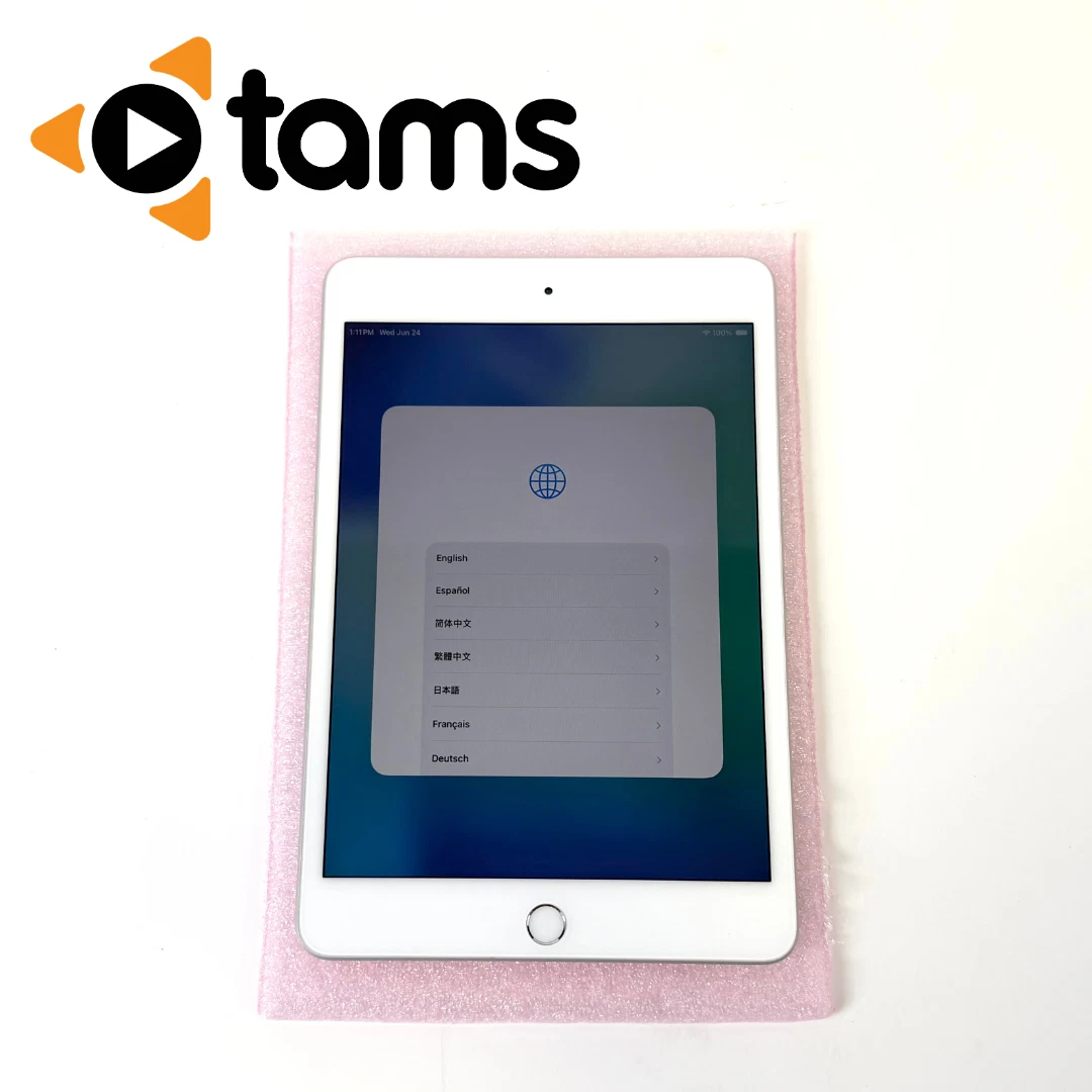 Apple iPad Mini (5th Generation) 64GB for sale - eBay