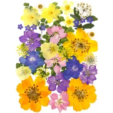 34Pcs Pressed Dried Flowers for Resin, Assorted Real Natural Bulk Dry Leaves ...