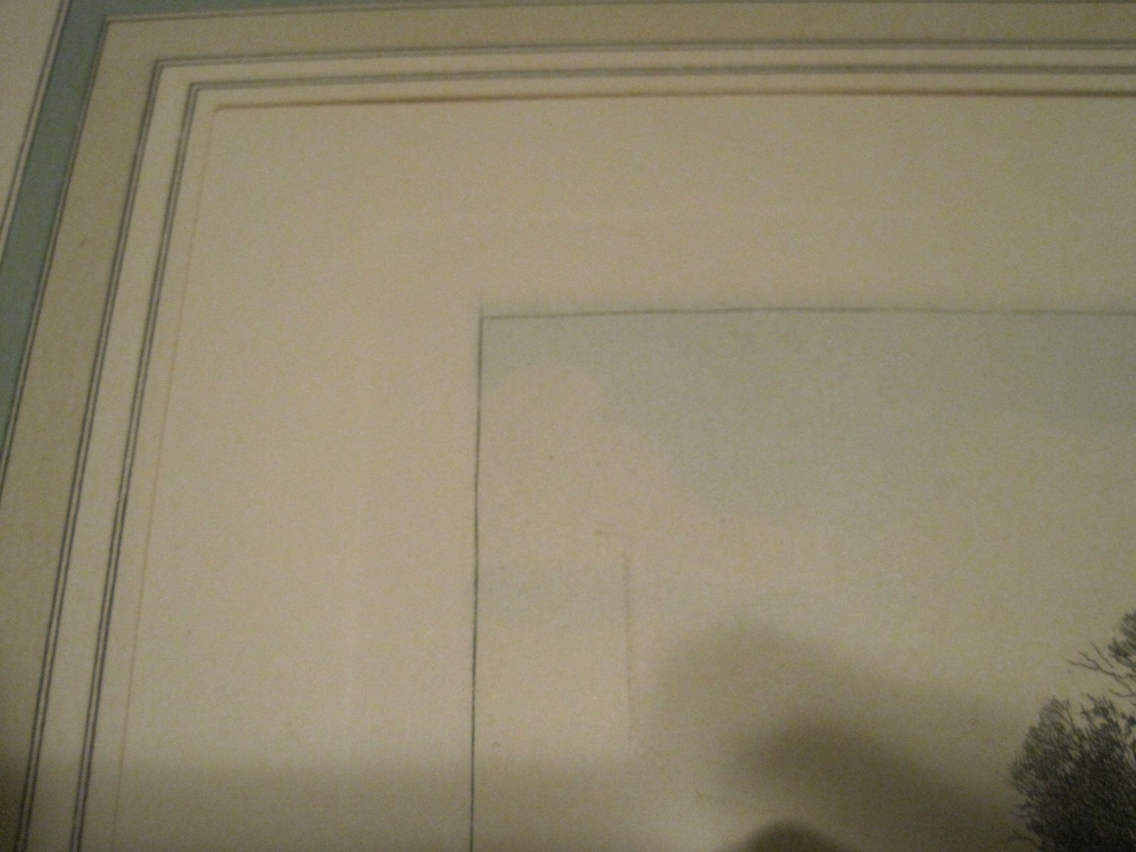 Picture 6 of 6