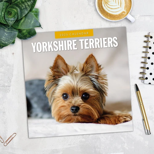Yorkshire Terriers 2025 Square Wall Calendar