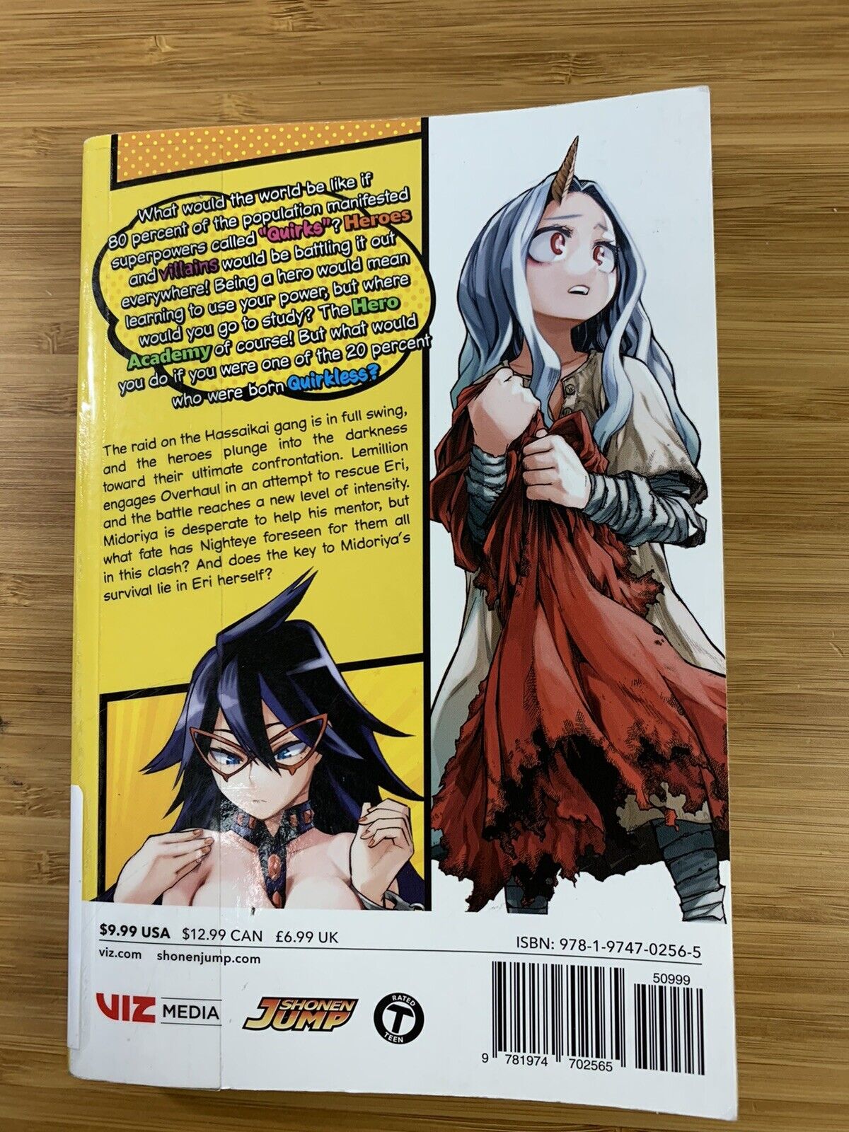 Boku No Hero - My Hero Academia - Vol. 17 - 9788545710561