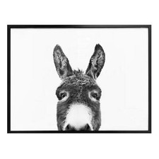 Poster Sisi & Seb - Der Esel WANDBILD WANDDEKO FSC zertifiziert 216g/m²