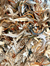 1000pc Natural 3-6" Loose Fluffy Crafting Feathers, Whiting Farms