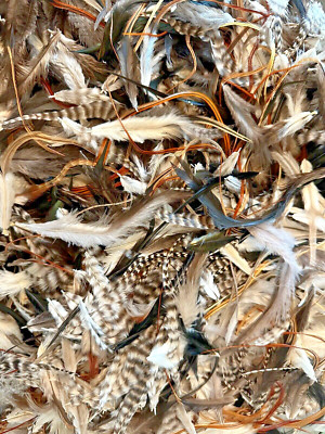 1000pc Natural 3-6'' Loose Fluffy Crafting Feathers, Whiting Farms