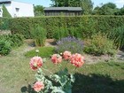 Bild 13 von 21