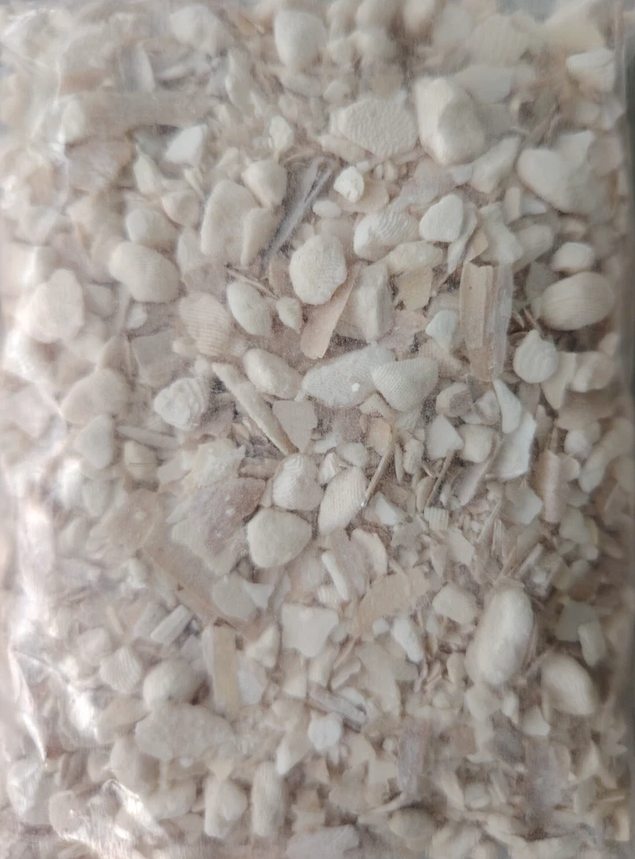 LUCKY REPTILE 100 g crushed Sepia crush Stücke crunch Sepiaschale Sepiaschalen 1A Qualität