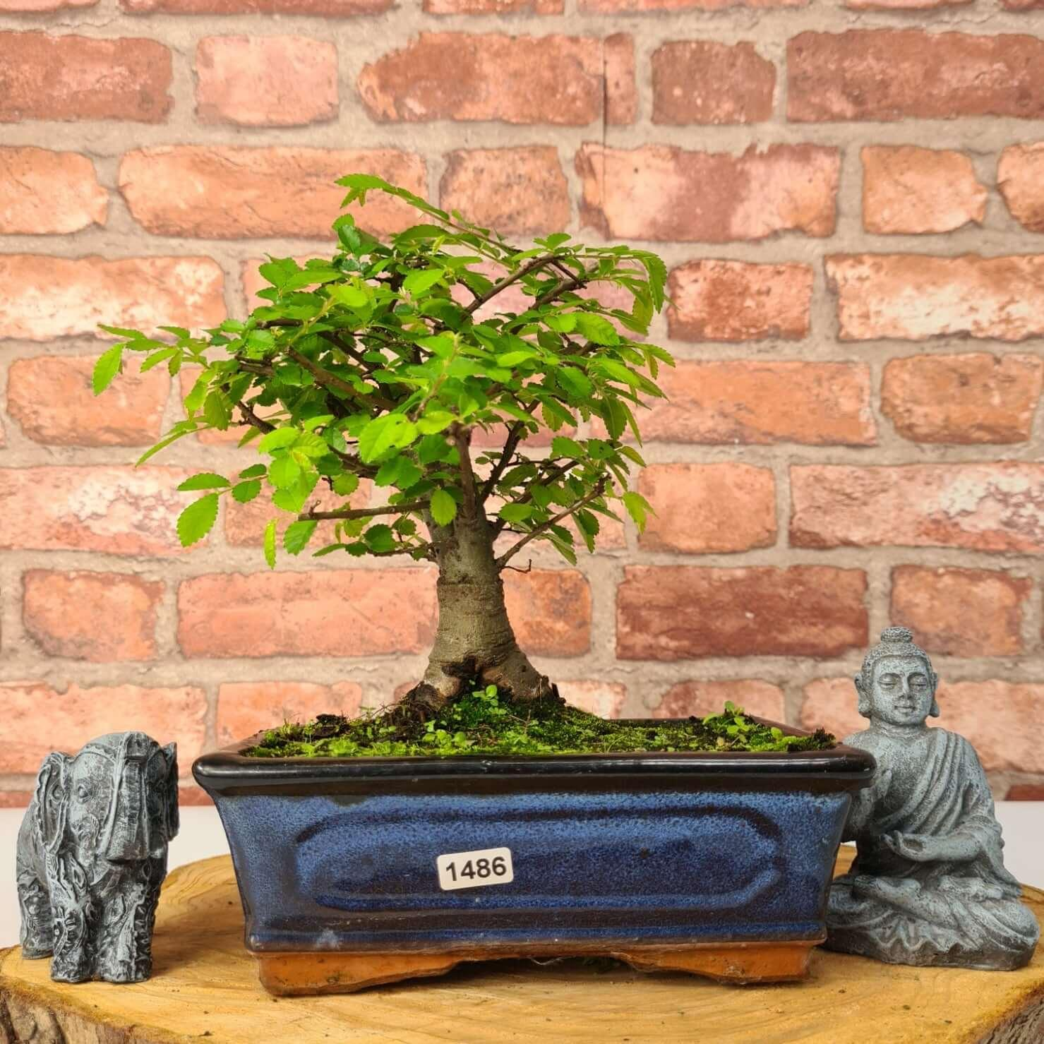 Picture 14 of 28