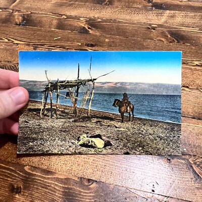 Vintage Postcard Dead Sea Horseman Coastline Jerusalem