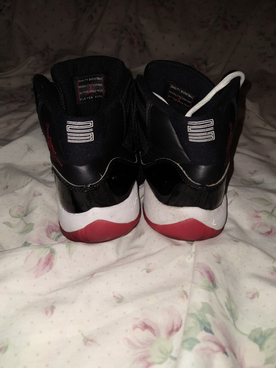 bred 11 5.5 y