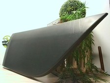 Baguette de porte Renault SCENIC