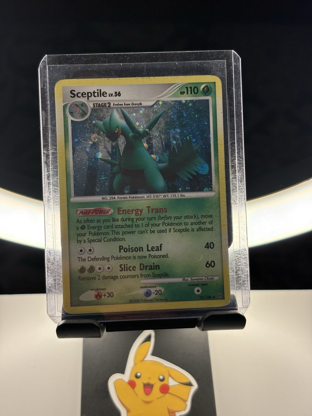 Pokémon TCG Sceptile Holo Rare Card 10/100 Stormfront Near Mint Condition
