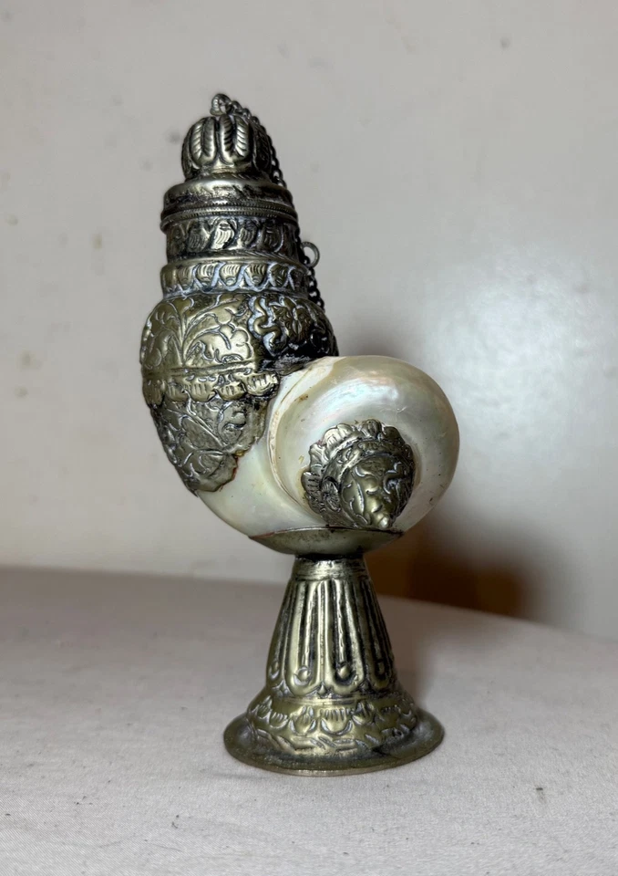 Antigua caja de tazas con tapa Nautilus montada en metal plateado Tooled anglo indio Foto 2 de 4