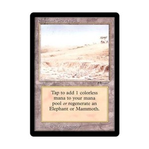Elephant Graveyard 土地カード アラビアンナイト MTG Elephant Graveyard Mtg | eBay