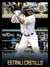 Estanli Castillo 2023 Choice Charleston RiverDogs #20 Charleston RiverDogs