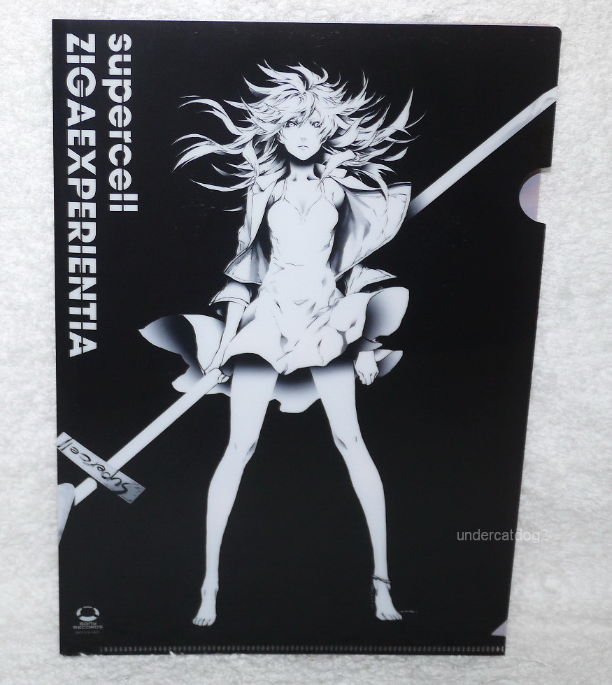 ZIGAEXPERIENTIA