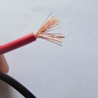 Foto 7 di 7