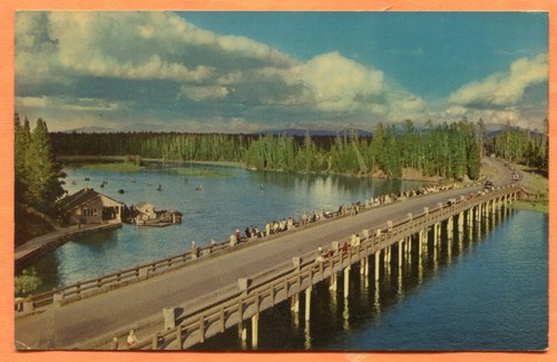 Yellowstone National Park Old Fishing Bridge 7 Postcard Views - Picture 5 of 7
