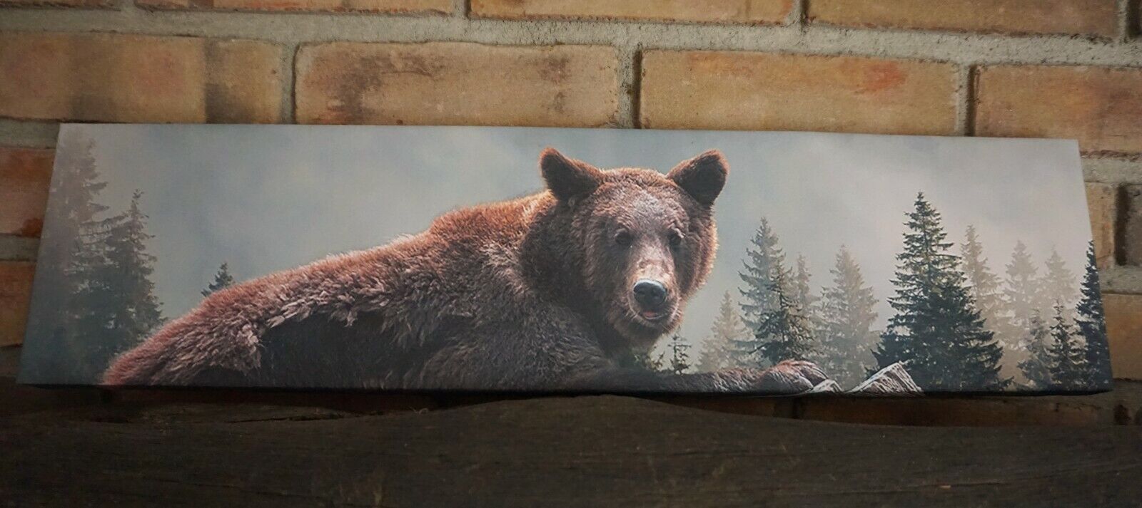 24" Grizzly Bear Sign Rustic Log Cabin Mountain Lodge Primitive Home Decor NEW