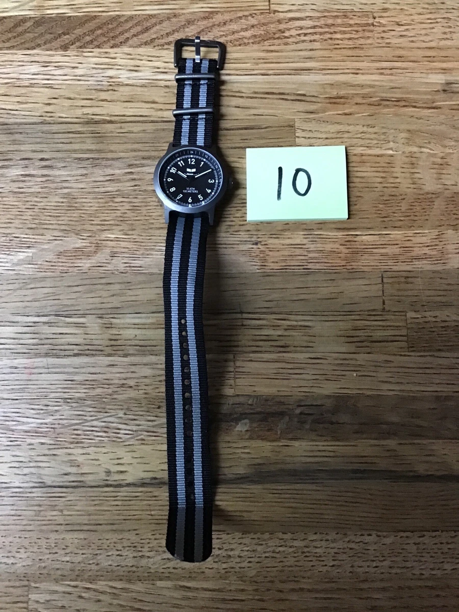 Alpha male watches new arrivals