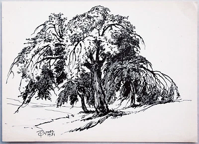 Paul Groß 1873-1942: 1931 Weiden Saaletal Neue Sachlichkeit Tuschezeichnung Baum - Bild 1 von 4