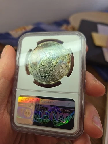 1896 Morgan Dollar   NGC MS-65 Toner Beautiful Reverse