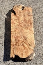 Big Leaf Maple Burl Slab 27 x9.5 x2.6 Spalted Live Edge Figured Wood Pacific NW