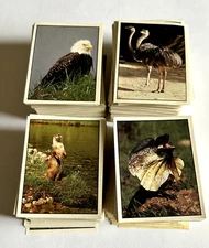 1989 Panini - Animals of the World Vintage Stickers ***Pick a Sticker***