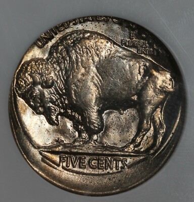 Vintage Buffalo Nickele COIN BANK バッファロー Buffalo Nickel Bank