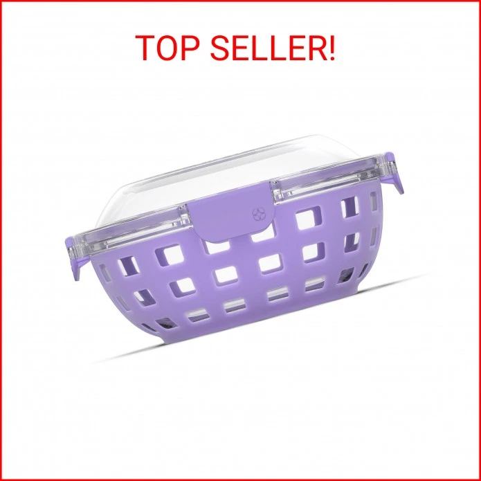 Ello Duraglass Lunch Bowl
