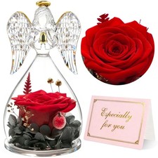 Yamonic Mom Birthday Gifts for Women, Preserved Roses Forever Flower in Red