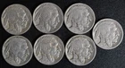 7 Buffalo Nickels  ALL WITH DATES 1920s–30s Starter Set  Full Dates – NO RESERVE