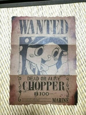 ONE PIECE Japanese Magazine Vol.9 w/Bounty-CHOPPER Jump Comic