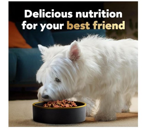 CESAR Adult Small Breed Dry Dog Food, Filet Mignon Flavor with Spring Vegetable - Picture 9 of 12