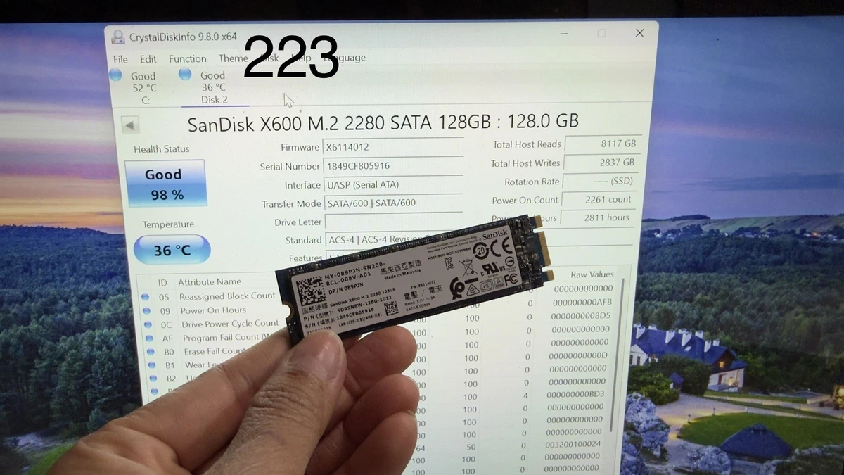 SanDisk M.2 Interface 128 GB Solid State Drives for sale | eBay