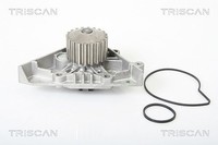 Triscan Wasserpumpe, MotorküHlung U.A. FüR CitroËN, Fiat, Lancia, Peugeot