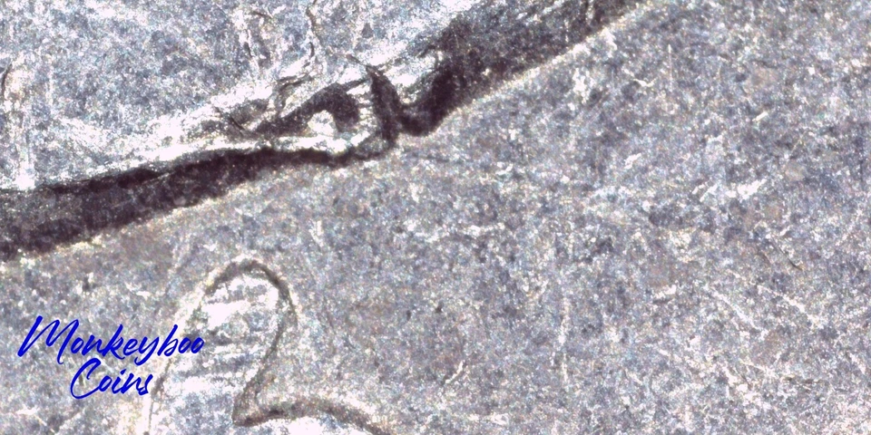 1996 P Washington Quarter - Abraded Die & Spiked Head Die Crack- Rare Error Coin - Image 4 of 4