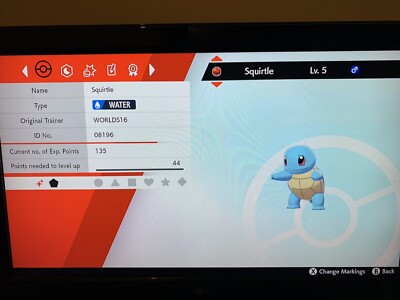 Squirtle Pokemon Schwert und Schild SHINY PERFECT IV