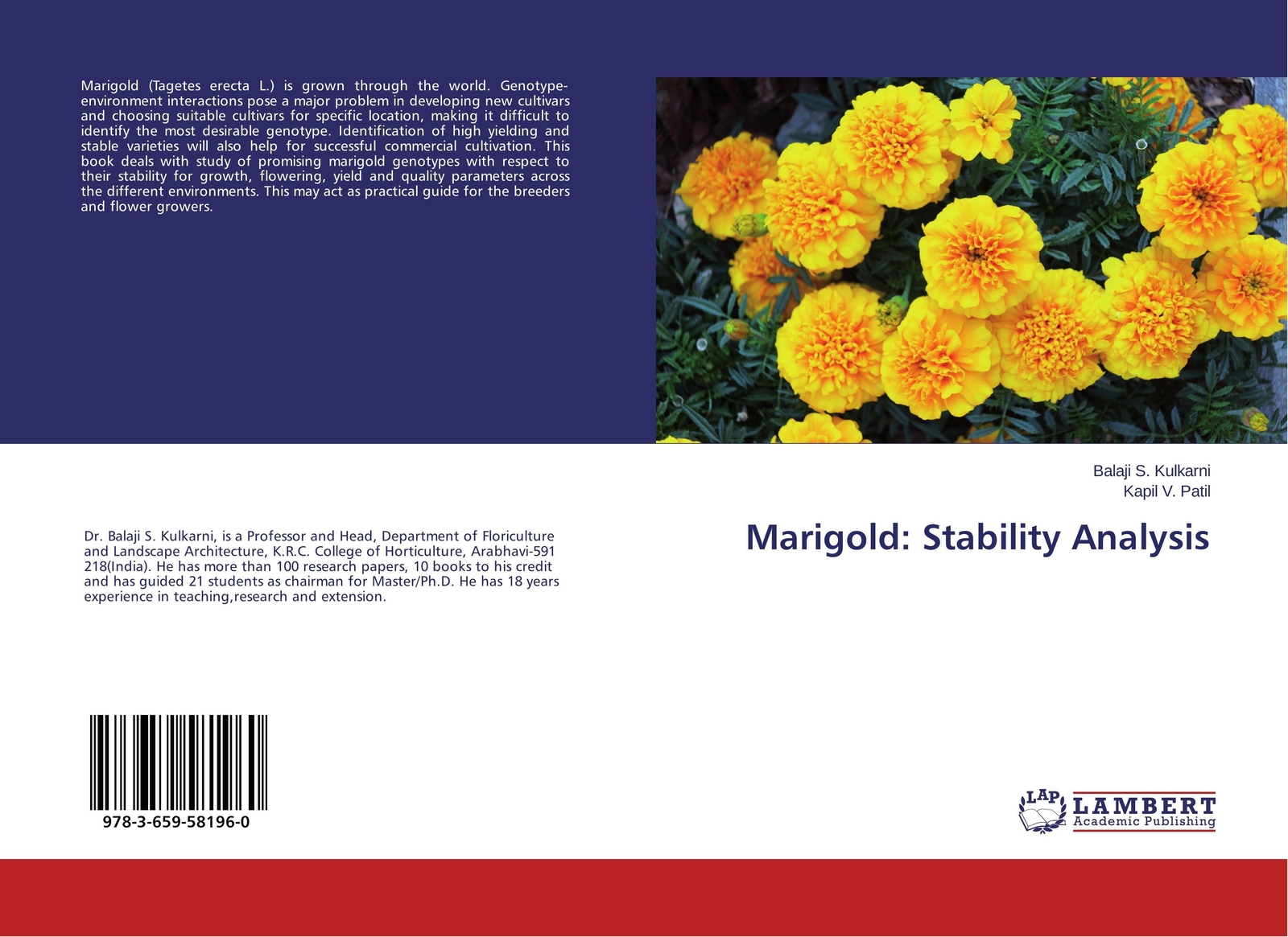 Thumbnail - Marigod: Stability Analysis Balaji S. Kulkarni (u. A.) Taschenbuch