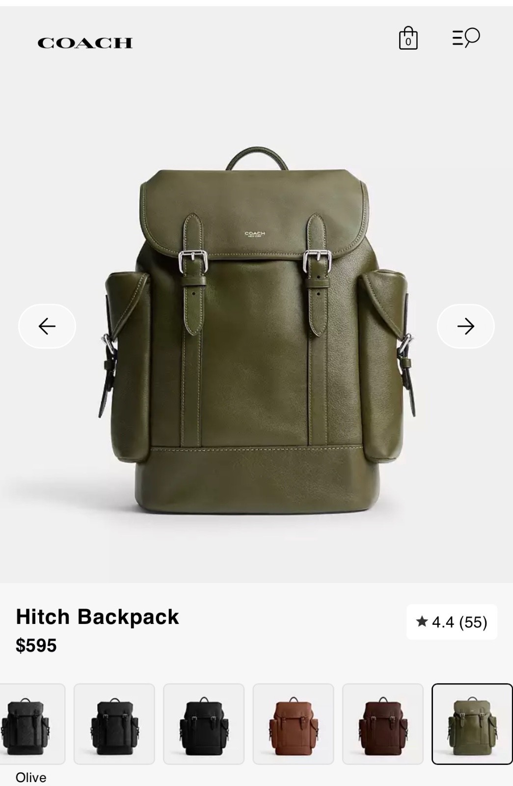 coach hitch backpack