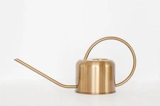 Stainless Steel Watering Can – 1L Gold Indoor/Outdoor Use for Houseplants