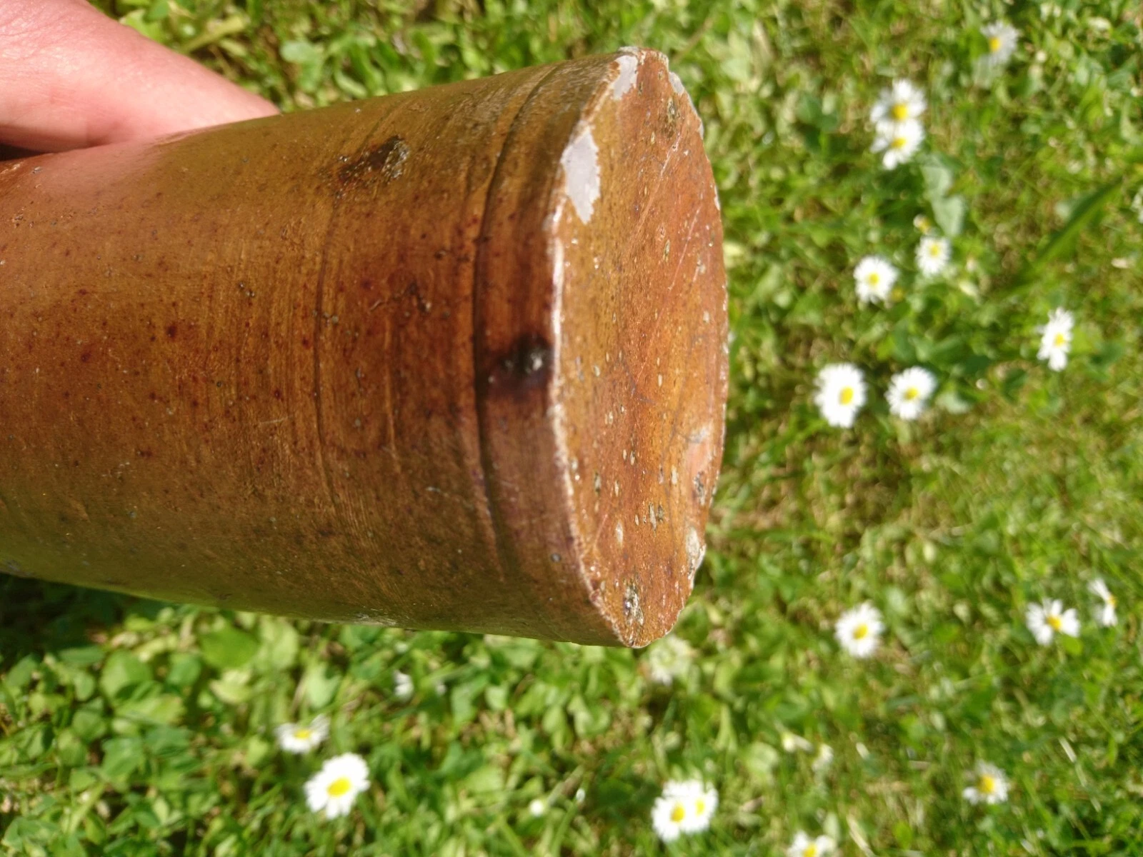 Bild 16 von 19