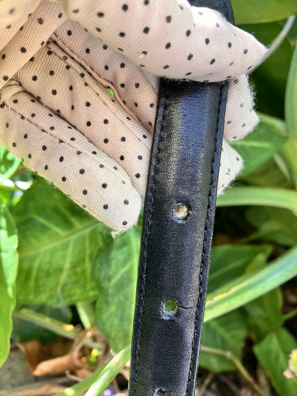 Picture 14 of 19